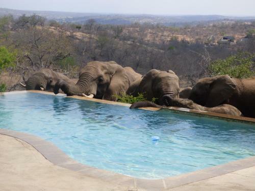 Mbizi Bush Lodge
