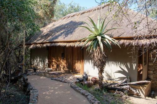 Lodge Jabulani Safari