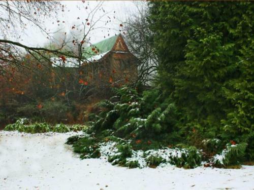 Lodge Sycamore Avenue Treehouses & Cottages Accommodation
