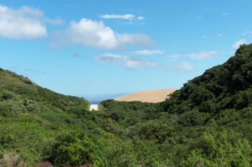 Thunzi Bush Lodge