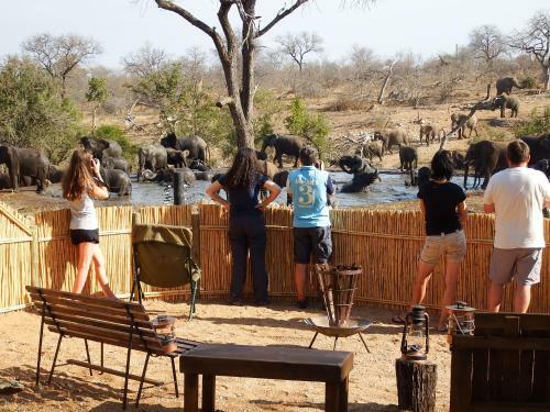 Lodge Ndzuti Safari Camp