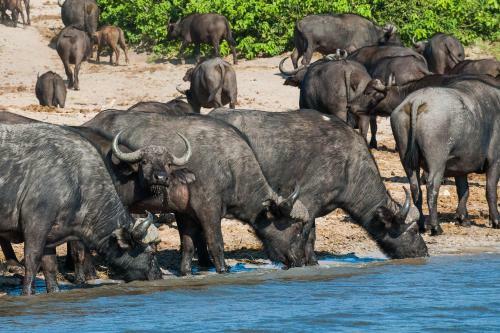 Maninghi Lodge