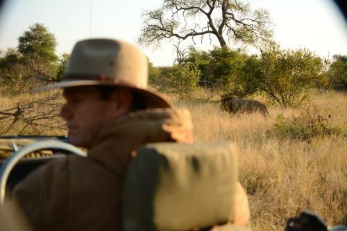 Senalala Safari Lodge