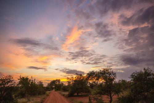 Senalala Safari Lodge