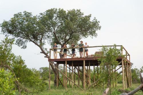 Senalala Safari Lodge