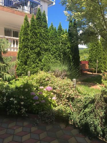 Hostal Guest House Dacha