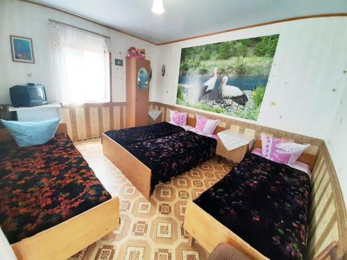 Hostal Guest House Zelenyy Dvorik