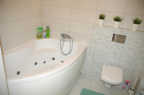 Apartment Sportivnaya 17