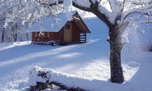Hostal Apartments And Tents Silva
