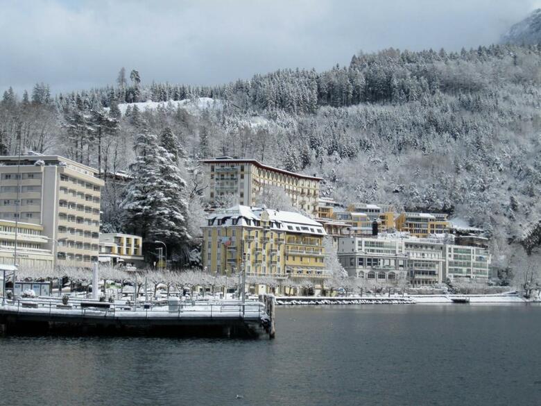 City Hotel
