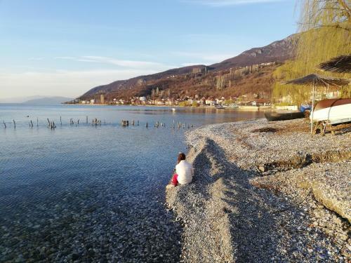Hostal Lile Pestani Accommodation