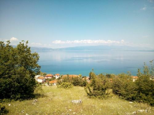 Hostal Lile Pestani Accommodation