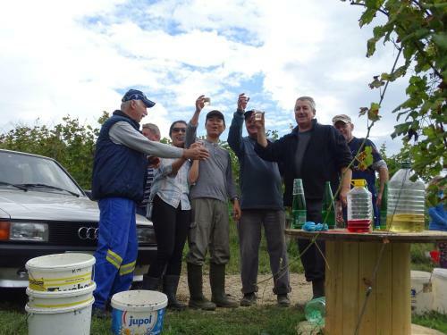 Agroturismo Farm Stay Frank Ozmec