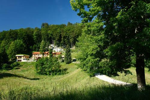 Apartamentos The Laz Estate