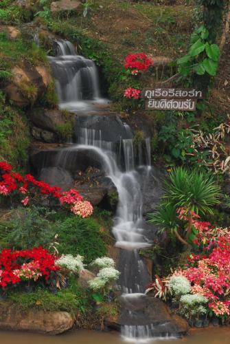Hotel Phurua Resort