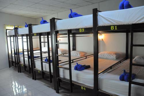 Mickey Hostel