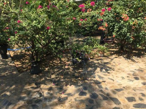 Hotel Thai Castle Resort