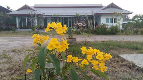 Hostal D Jango