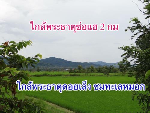 Hotel ????????????(rommaisaitharn Resort)