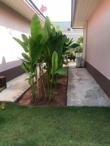 Hotel Tinna Resort