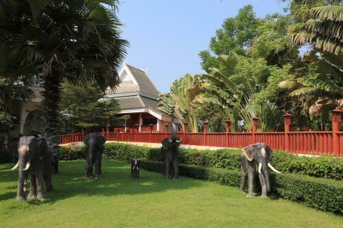 Hotel Phu Pha Phung Resort