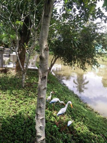 Hostal Panpim Resort