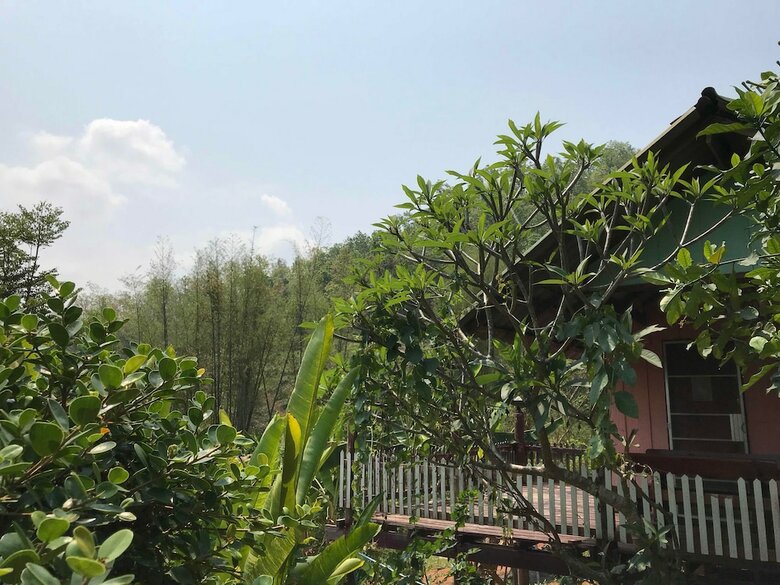 Hotel Forest Guesthouse