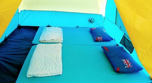 Friend Camp