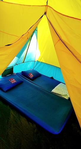 Friend Camp