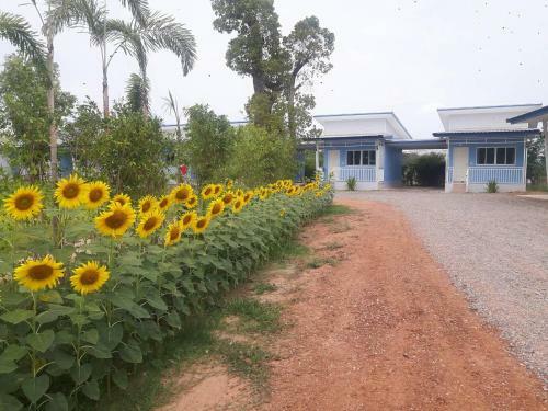 Hotel Kienglerng Resort