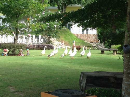 Hotel Watermill Resort