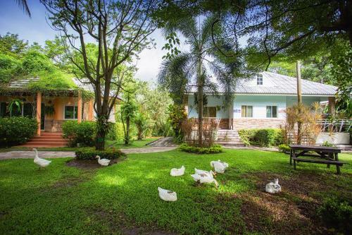 Hotel Watermill Resort
