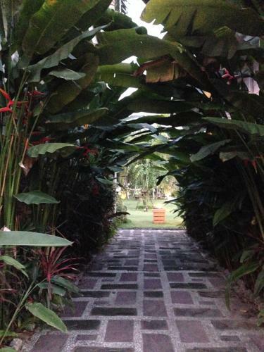 Hotel Watermill Resort