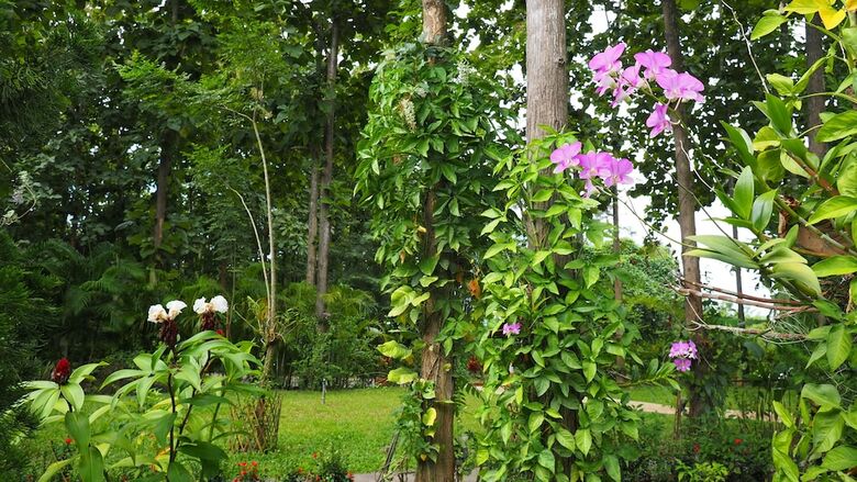 Hotel Nan Seasons Boutique Resort