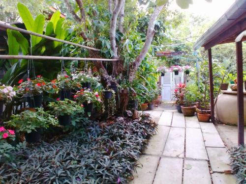 Nr Homestay