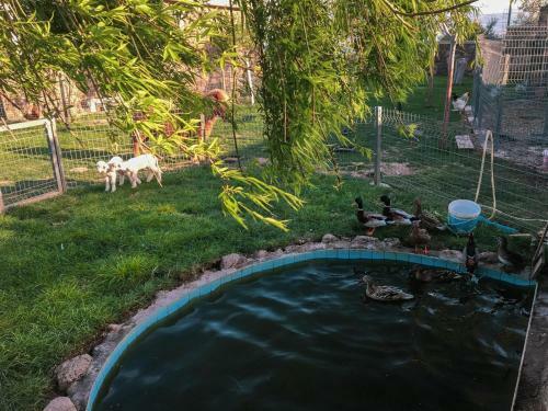 Assos Alis Farm Boutique Hotel & Spa