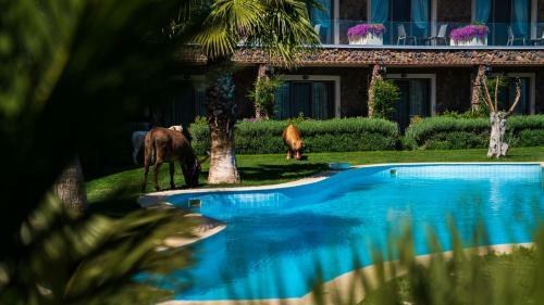 Assos Alis Farm Boutique Hotel & Spa