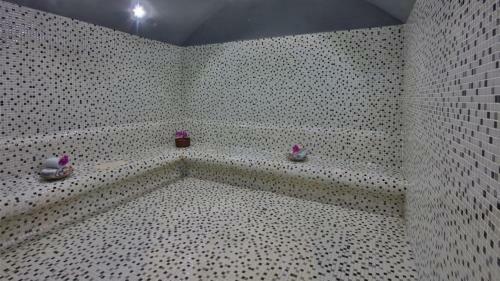 Sivas Termal Hotel