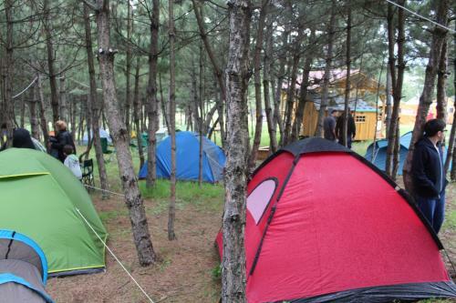 Hostal Nesilce Tatil K�y�