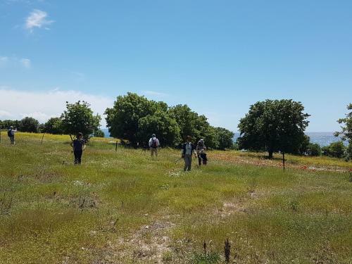 Agroturismo Alterna K�y Evi