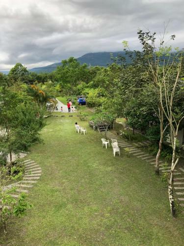 Oliver Tree B&B