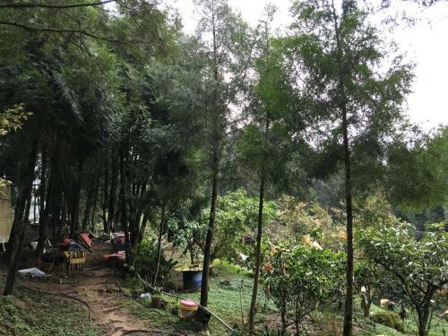 Shan Hu Lian Homestay
