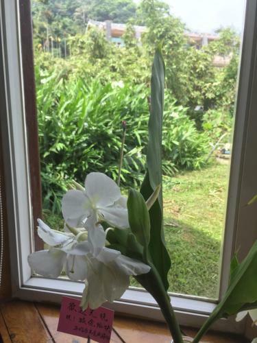 Yi Yun Ju Homestay