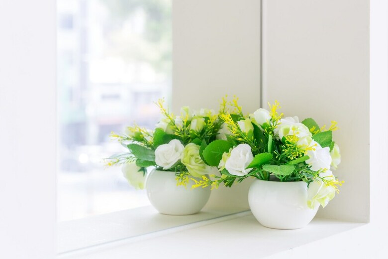 Hostal Enjoy Slow Living