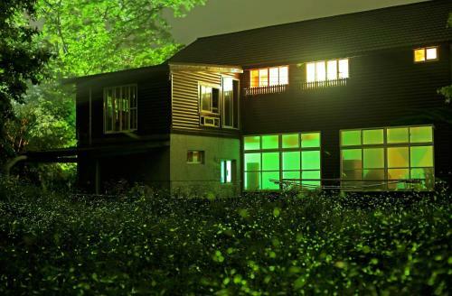 Bed & Breakfast Star Coffee & Homestay