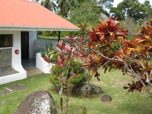 Bed & Breakfast Daniella's Bungalows