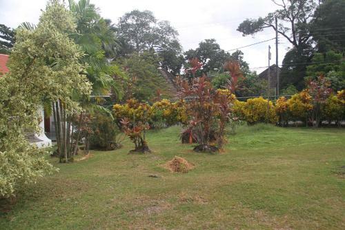 Bed & Breakfast Daniella's Bungalows