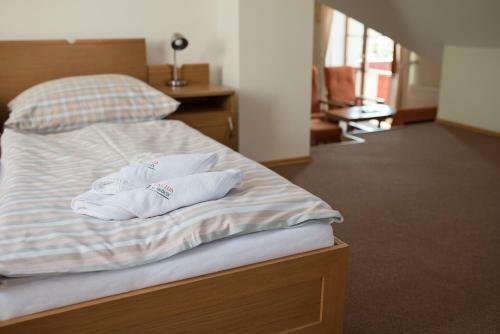 Hostal Penzion Nad Oborou