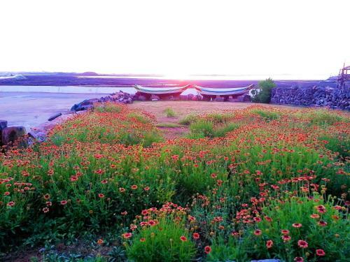 Ocean Sky B&B