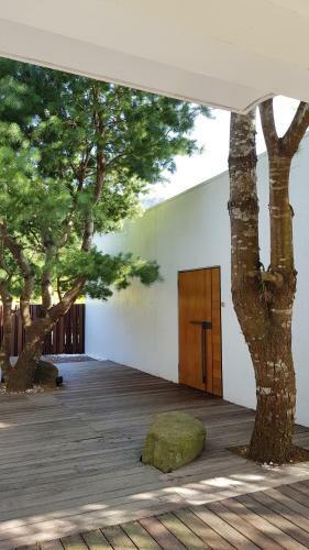 Aroundthetree Hermitage
